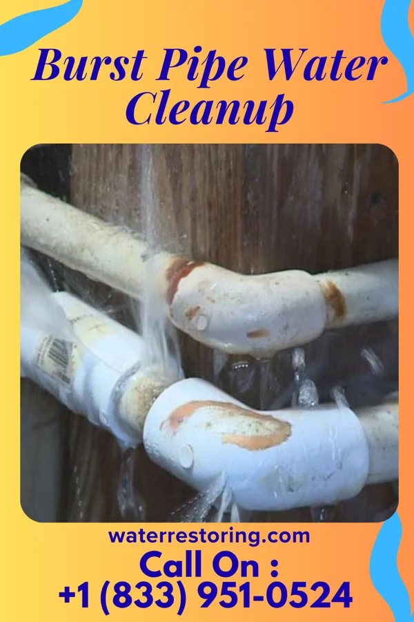 Burst Pipe Water Cleanup in Pinewood Estates, TX