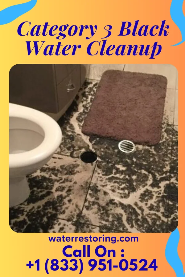 Category 3 Black Water Cleanup in Pinewood Estates, TX