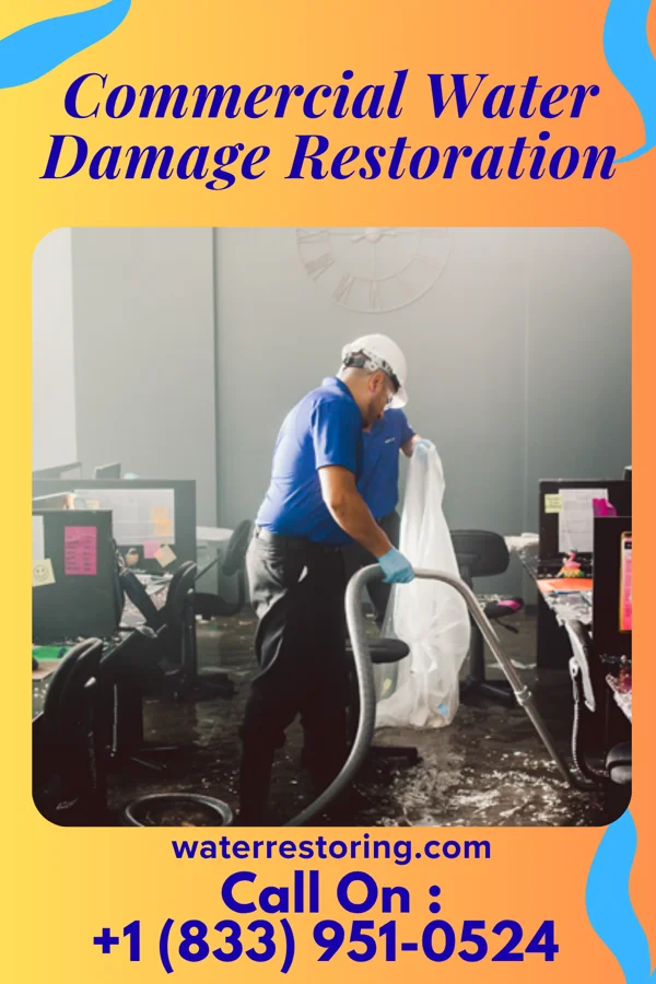 Commercial Water Damage Restoration in Pinewood Estates, TX