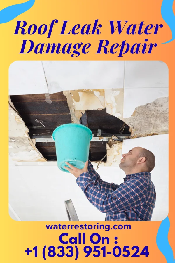 Roof Leak Water Damage Repair in Pinewood Estates, TX