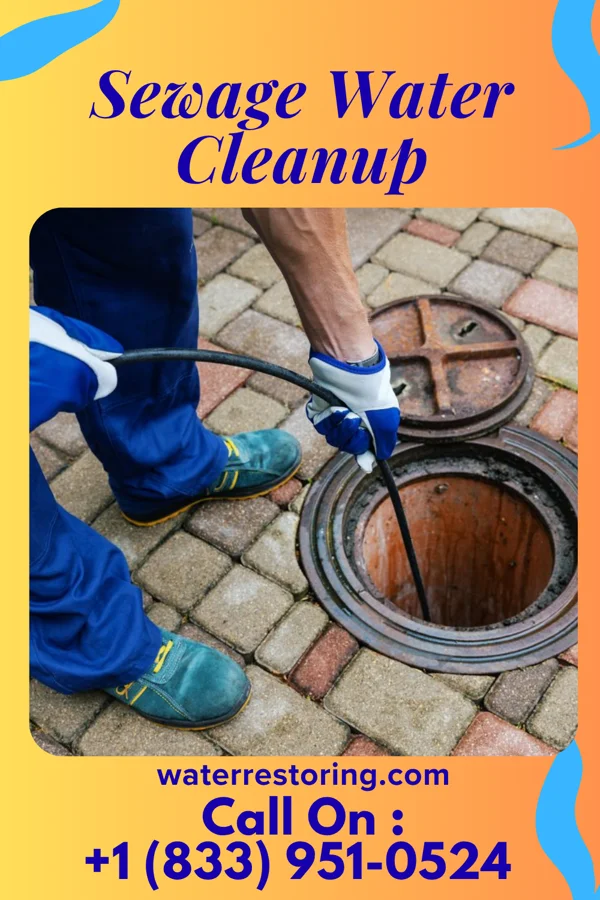 Sewage Water Cleanup in Pinewood Estates, TX